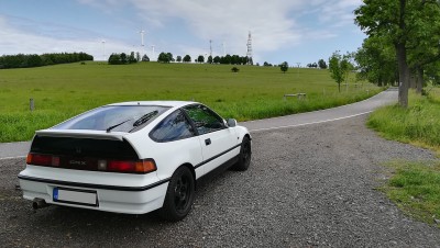 crx_10.jpg