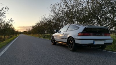crx_11.jpg