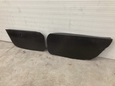 Carbon intoš (1).JPEG