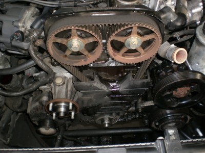 P1012633.JPG (492.56 KiB) Zobrazeno 13508 x P1012633.JPG