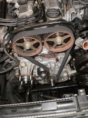 P1012642.JPG (521.02 KiB) Zobrazeno 13508 x P1012642.JPG