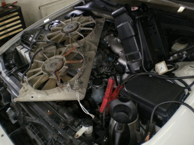 lex (3).JPG (440.72 KiB) Zobrazeno 13026 x lex (3).JPG