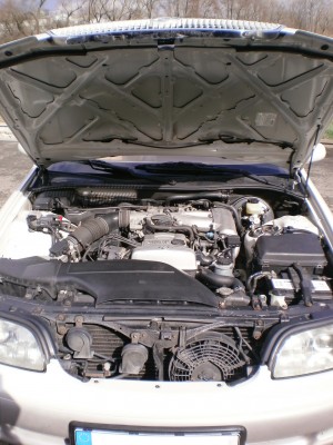 P1012882.jpg (739.19 KiB) Zobrazeno 12309 x P1012882.jpg